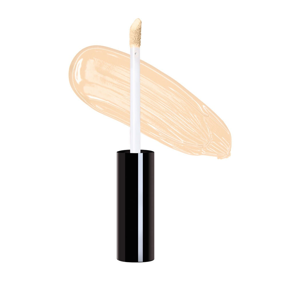 Daily Life Forever52 Complete Coverage Concealer  (10gm)