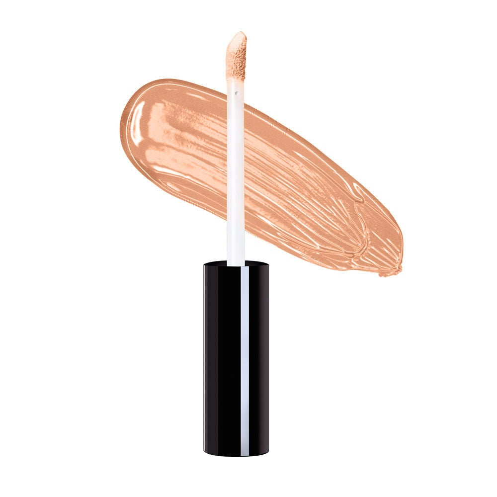Daily Life Forever52 Complete Coverage Concealer  (10gm)